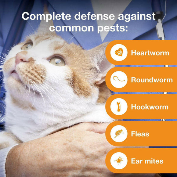 Advantage Multi  for Cats, 9.1-18 lbs