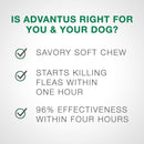 Advantus Flea Oral Treatment for Large Dogs (23-110 lbs)