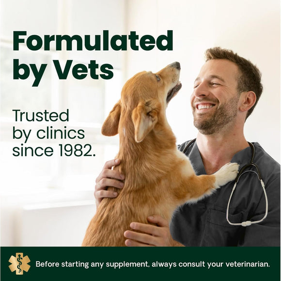 Allergy & Itch Support Chews for Dogs - Dog Immune & Allergy Supplements 10