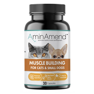 AminAmend Muscle Building for Cats & Small Dogs, 30 capsules