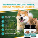 AminAvast Kidney Support Capsules for Cats - 60 Capsules - Cat Supplements & Vitamins 5