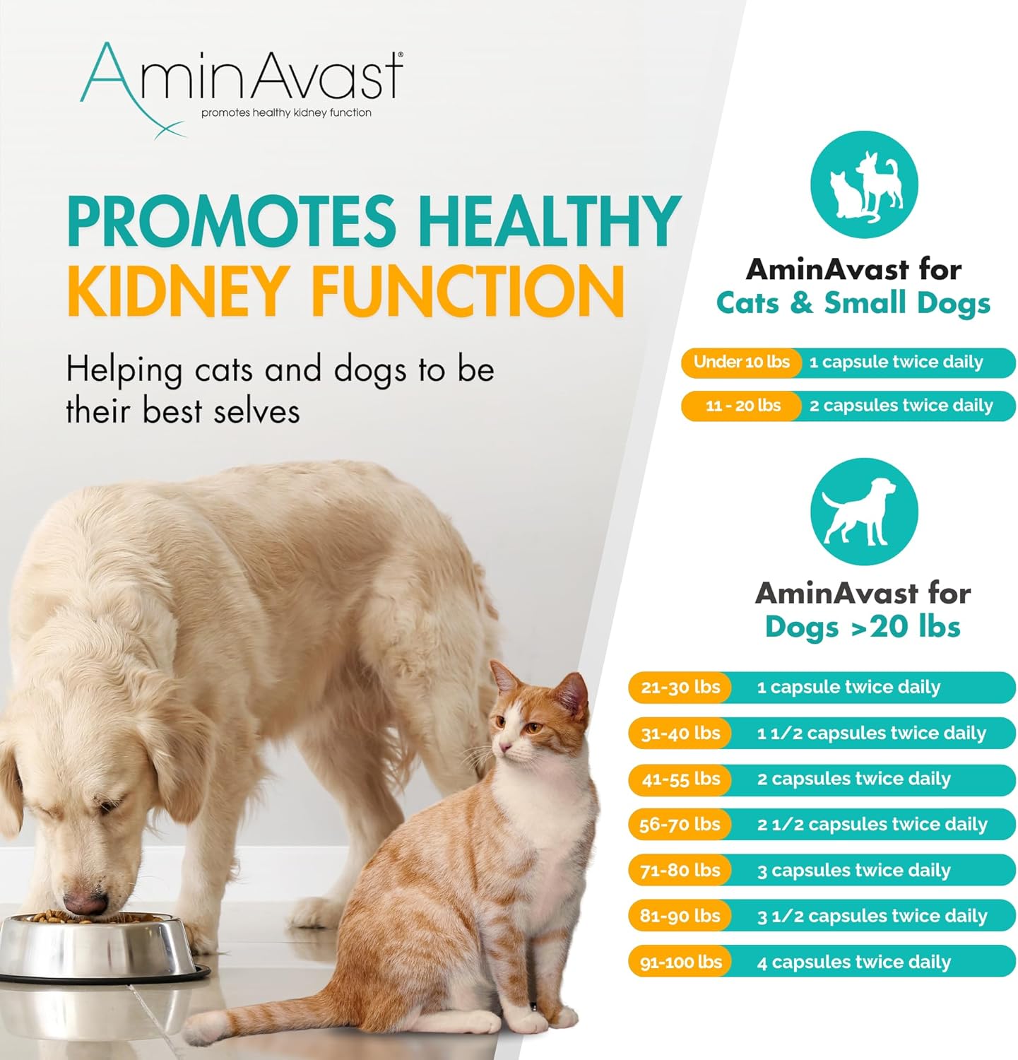 AminAvast Feline Kidney Health Support Capsules for Pets