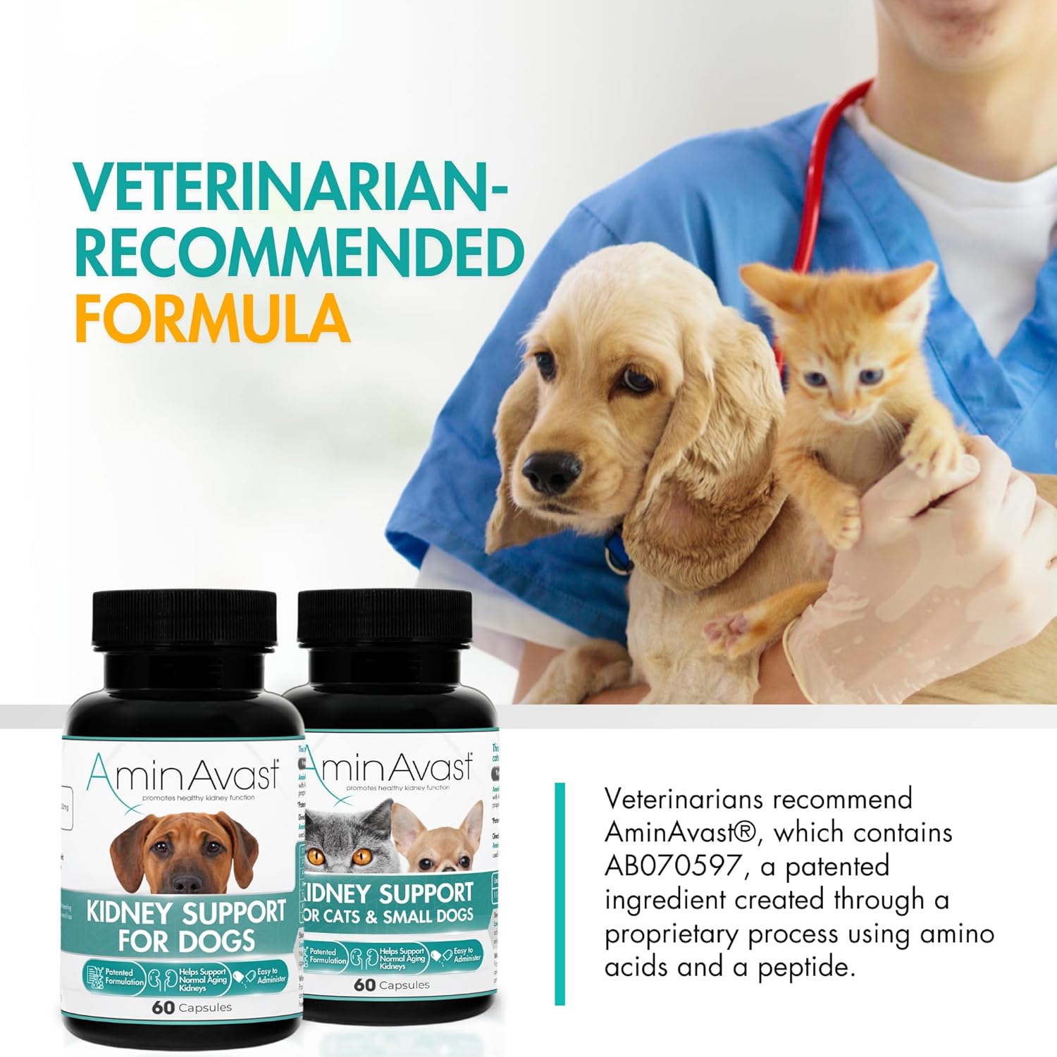AminAvast Feline Kidney Health Support Capsules for Pets