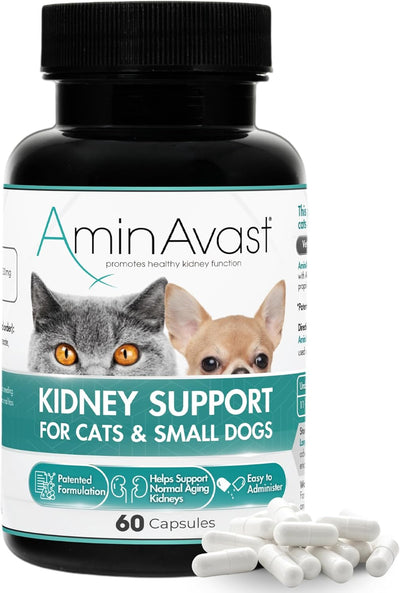 AminAvast Kidney Support Capsules for Cats - 60 Capsules - Cat Supplements & Vitamins 1