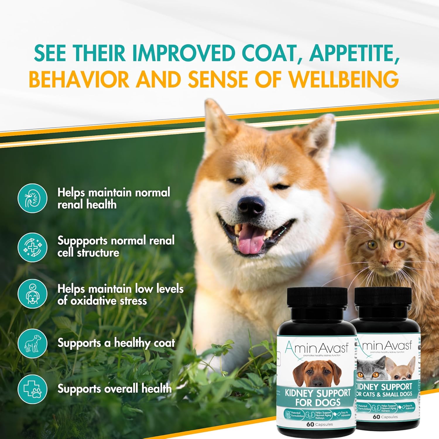 AminAvast Daily Kidney Wellness Support for Dogs