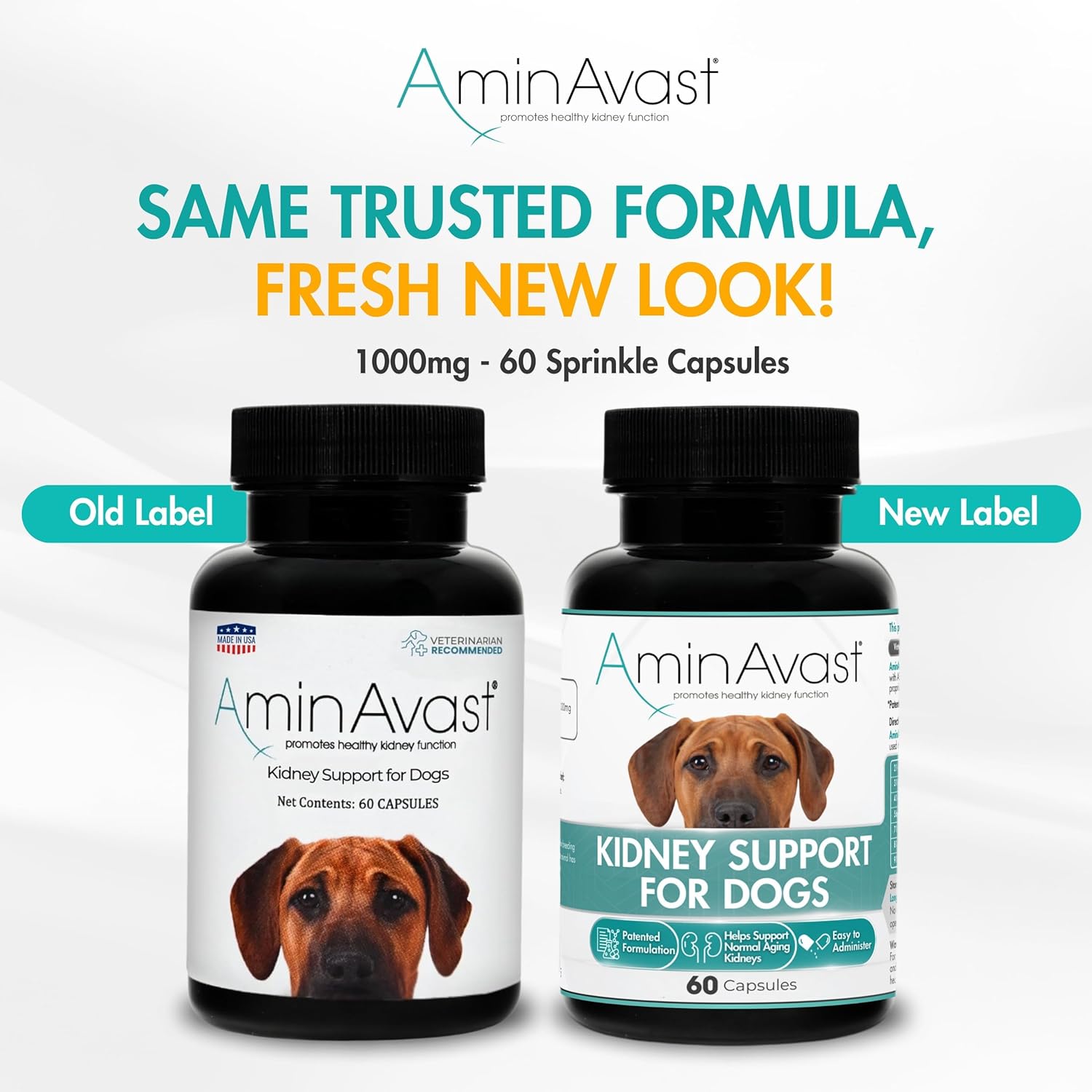 AminAvast 犬用サプリメント 60カプセル、2ボトル AminAvast Daily Kidney Wellness Support for Dogs