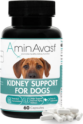 AminAvast Kidney Support for Dogs (60 capsules) - Dog Supplements & Vitamins 1