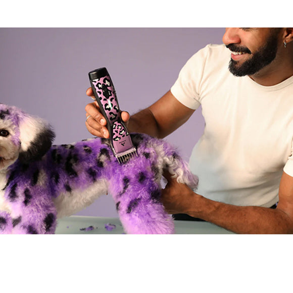 Person grooming a dog with a purple and black pattern using a grooming tool.