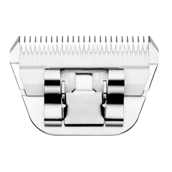 Hair clipper head on a white background