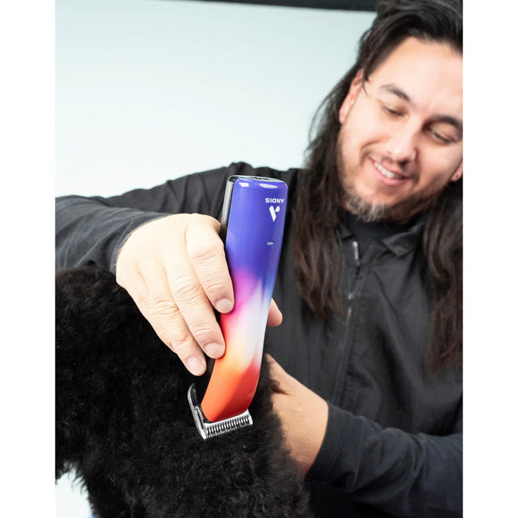 Person using a gradient-colored pet grooming tool on a black dog.