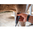 Person using a grooming tool on a horse's leg