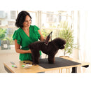 Woman grooming a dog on a table with a green background