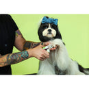 Dog with a blue bow being groomed by a person against a green background