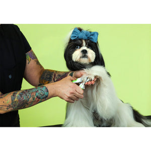 Dog with a blue bow being groomed by a person against a green background