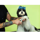 Dog with a blue bow being groomed by a person with tattoos on a green background