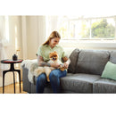 Woman sitting on a gray couch with a small dog in her lap in a bright living room.