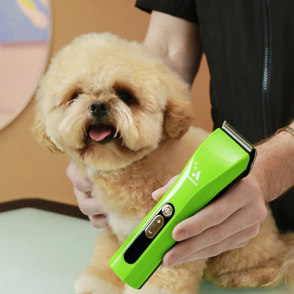 Person grooming a small dog with a green grooming tool.