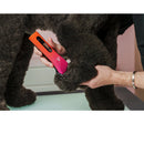Person using a pink and black device on a dog's paw