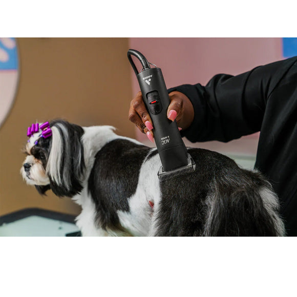Person grooming a dog with a hair clipper, with a blurred background