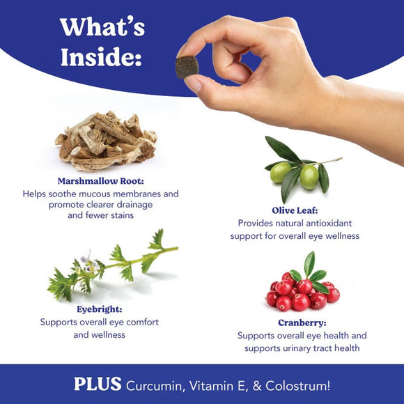 Hand holding a supplement with illustrations of herbs and text describing their benefits on a blue and white background.