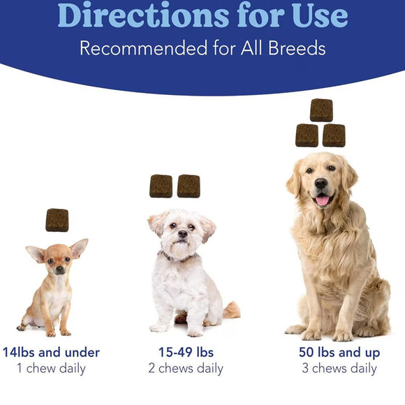 Dog treats with recommended daily serving sizes for different breed weights on a blue and white background.