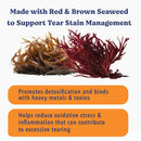 Red and brown seaweed with text about tear stain management and health benefits on a white background.