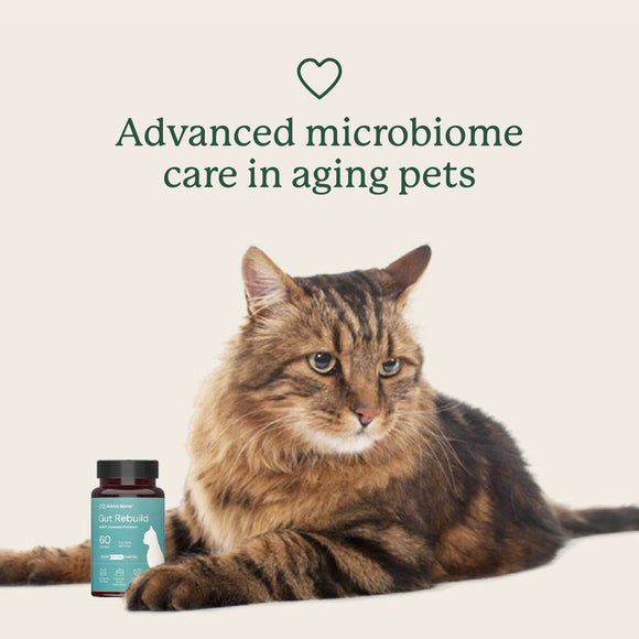 Animal Biome Gut Rebuild for Cats 60 count - Cat Digestive & Probiotics Supplements 5