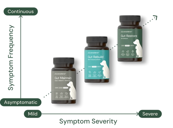 Animal Biome Gut Rebuild for Cats 60 count - Cat Digestive & Probiotics Supplements 8