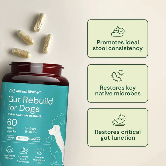 Animal Biome Gut Rebuild for Dogs 60-count - Dog Digestive & Probiotics Supplements 4