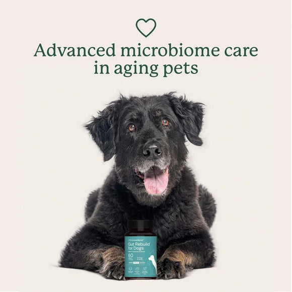 Animal Biome Gut Rebuild for Dogs 60-count - Dog Digestive & Probiotics Supplements 5