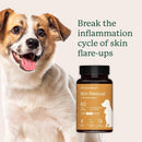 Animal Biome Skin Rescue for Dogs & Cats 60-count - Dog Skin & Coat Supplements 6