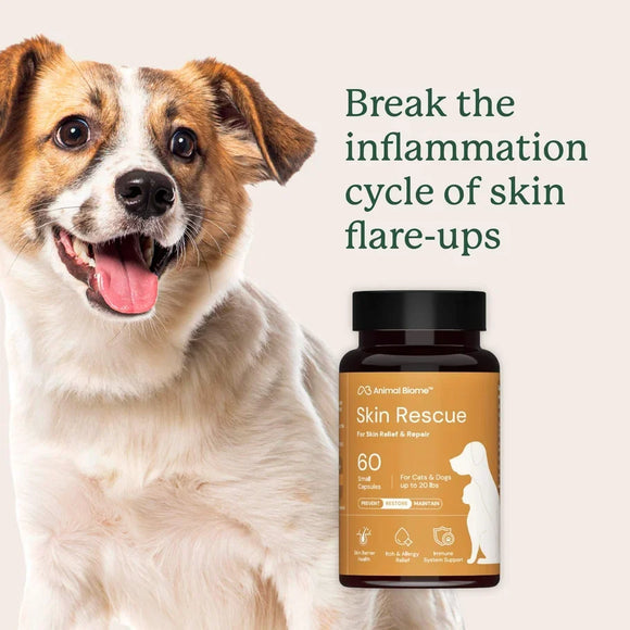 Animal Biome Skin Rescue for Dogs & Cats 60-count - Dog Skin & Coat Supplements 6
