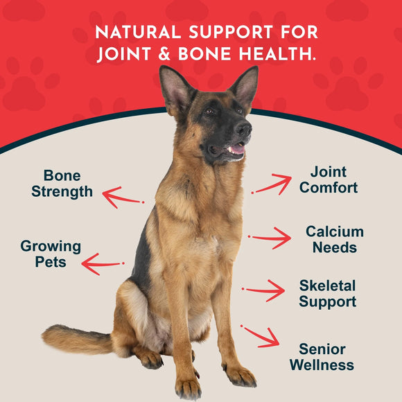 Animal Essentials Calcium Supplement Powder Sea-Cal Hip & Joint for Dogs & Cats 8.5-oz - Dog Supplements & Vitamins 3