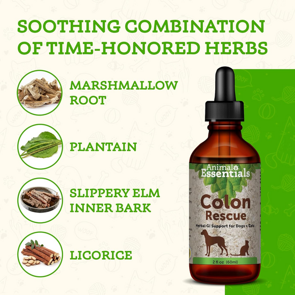 Animal Essentials Colon Rescue Herbal Tonic to Support Normal Bowel Function for Dogs & Cats - Pet Vitamins &
