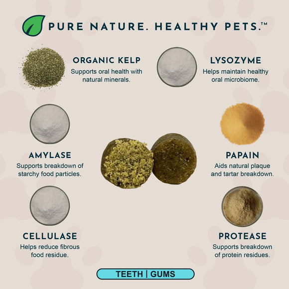 Animal Essentials Herbal Anti-Plaque Formula Dental Support Soft Chews for Dogs & Cats 60-count - Dog Supplements &