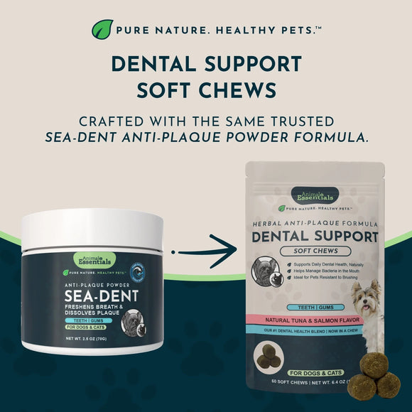 Animal Essentials Herbal Anti-Plaque Formula Dental Support Soft Chews for Dogs & Cats 60-count - Dog Supplements &
