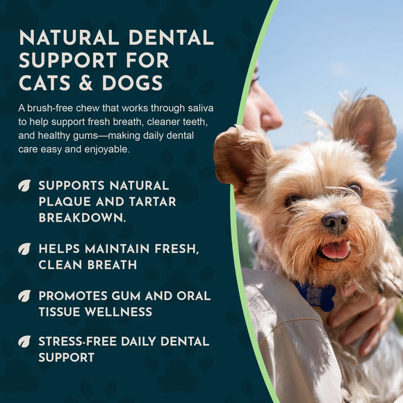 Animal Essentials Herbal Anti-Plaque Formula Dental Support Soft Chews for Dogs & Cats 60-count - Dog Supplements &