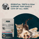 Animal Essentials Herbal Anti-Plaque Formula Dental Support Soft Chews for Dogs & Cats 60-count - Dog Supplements &