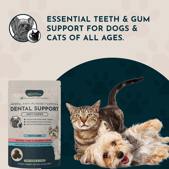 Animal Essentials Herbal Anti-Plaque Formula Dental Support Soft Chews for Dogs & Cats 60-count - Dog Supplements &