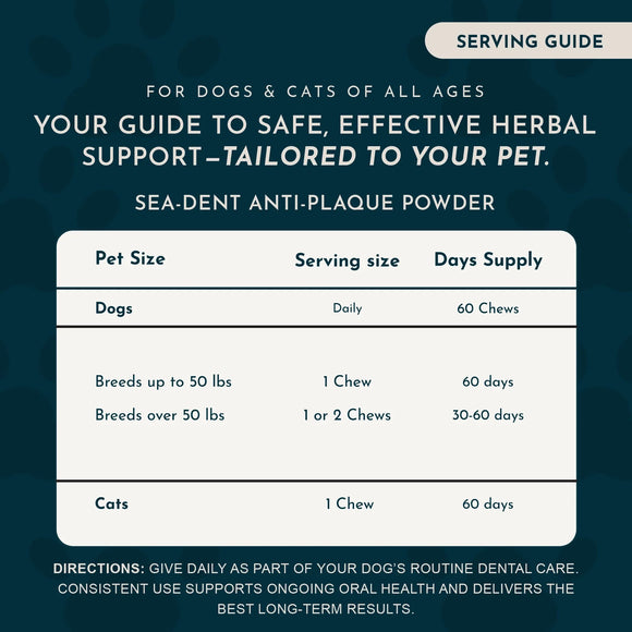 Animal Essentials Herbal Anti-Plaque Formula Dental Support Soft Chews for Dogs & Cats 60-count - Dog Supplements &