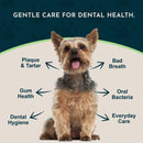 Animal Essentials Herbal Anti-Plaque Formula Dental Support Soft Chews for Dogs & Cats 60-count - Dog Supplements &