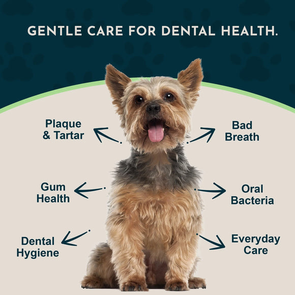 Animal Essentials Herbal Anti-Plaque Formula Dental Support Soft Chews for Dogs & Cats 60-count - Dog Supplements &
