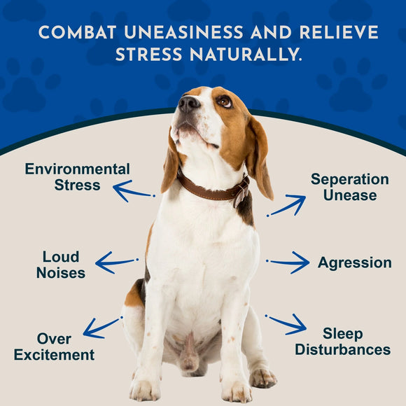 Animal Essentials Herbal Calming Formula Tranquil Times Soft Chews for Dogs & Cats Beef Flavor 60-count - Dog