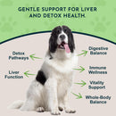Animal Essentials Herbal Capsules Milk Thistle Supports Healthy Liver Function for Dogs & Cats 30-count - Dog