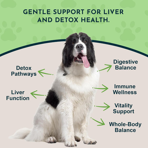 Animal Essentials Herbal Capsules Milk Thistle Supports Healthy Liver Function for Dogs & Cats 30-count - Dog
