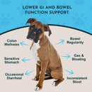 Animal Essentials Herbal Digestive Powder Colon Rescue Powder for Dogs & Cats 1-oz - Dog Supplements & Vitamins 2