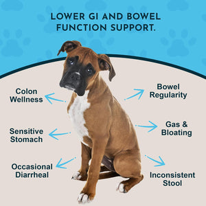 Animal Essentials Herbal Digestive Powder Colon Rescue Powder for Dogs & Cats 1-oz - Dog Supplements & Vitamins 2