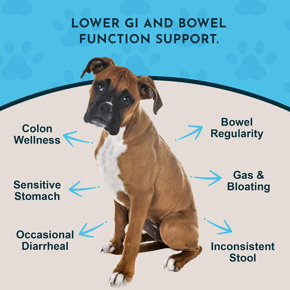 Animal Essentials Herbal Digestive Powder Colon Rescue Powder for Dogs & Cats 1-oz - Dog Supplements & Vitamins 2