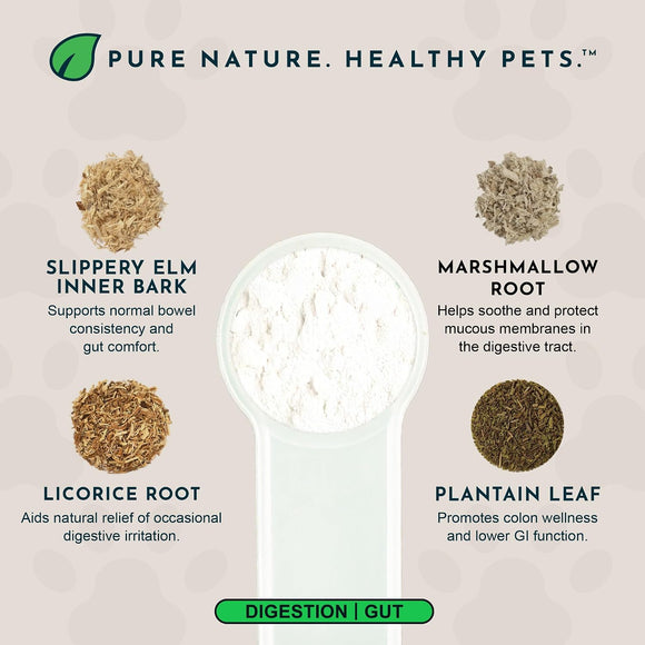 Animal Essentials Herbal Digestive Powder Colon Rescue Powder for Dogs & Cats 1-oz - Dog Supplements & Vitamins 3