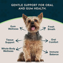 Animal Essentials Herbal Formula Healthy Gums for Dogs & Cats 1-oz - Dog Supplements & Vitamins 3